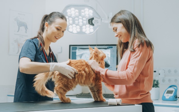 clinique veterinaire