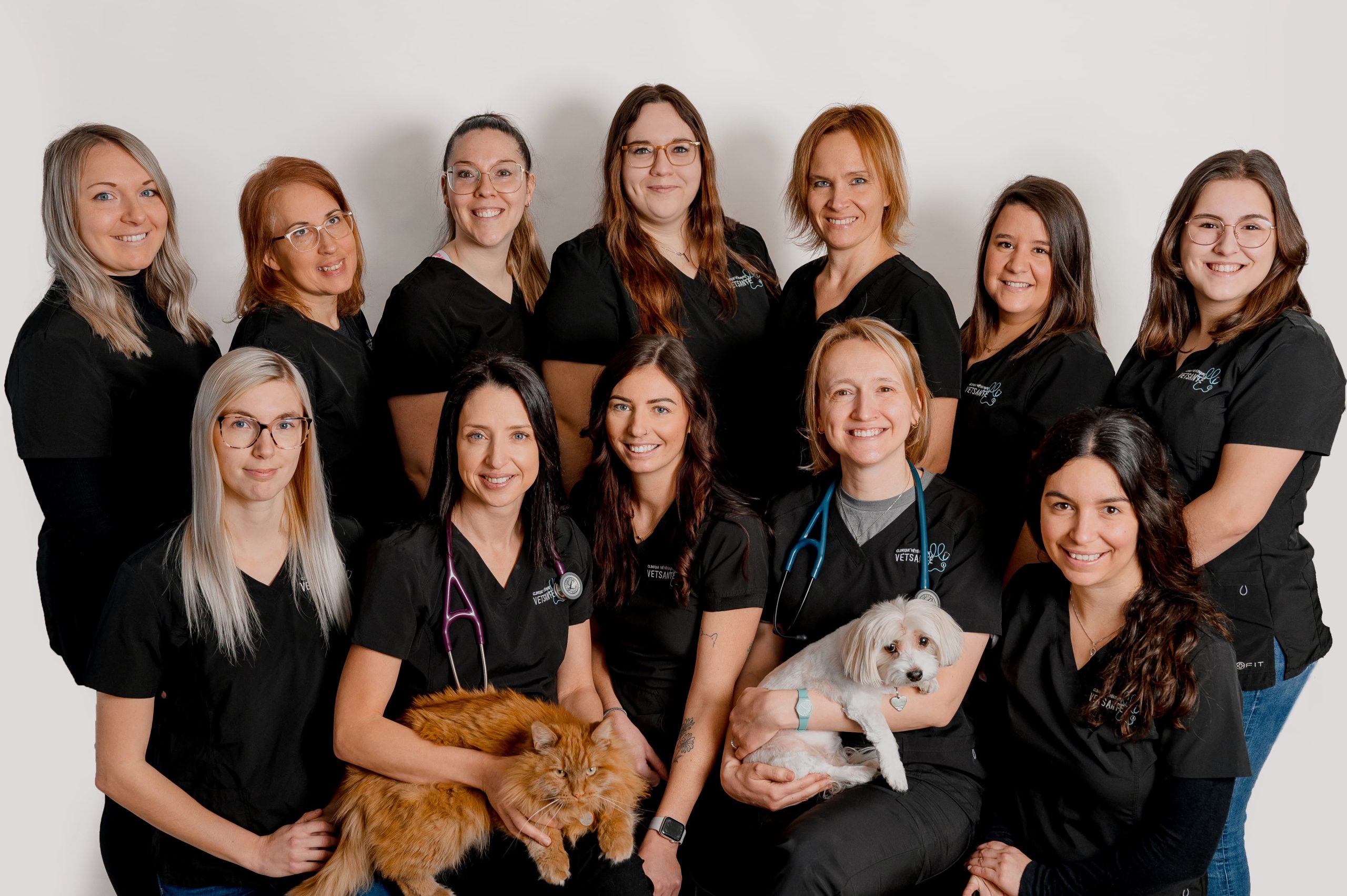 clinique veterinaire saint-georges Vetsanté